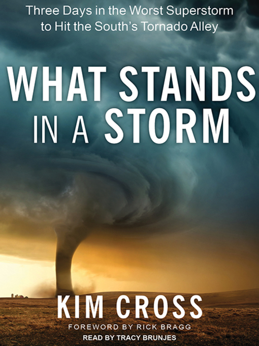 Title details for What Stands in a Storm by Kim Cross - Wait list